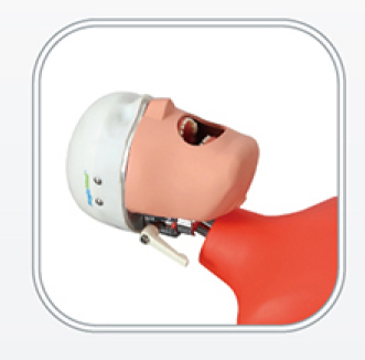 Jingle JG-A16 — Стоматологический фантом пациента (ребёнка) мобильный