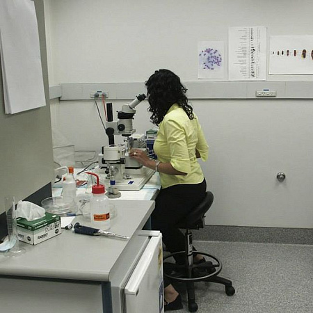 Bambach Classic - эрготерапевтический стул-седло врача-стоматолога