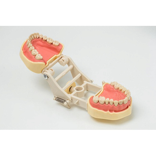 Jingle JG-J1 - фантомная челюсть